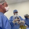 Tumor na hipófise – cirurgia por vídeo na Santa Casa trata tumores da base do crânio